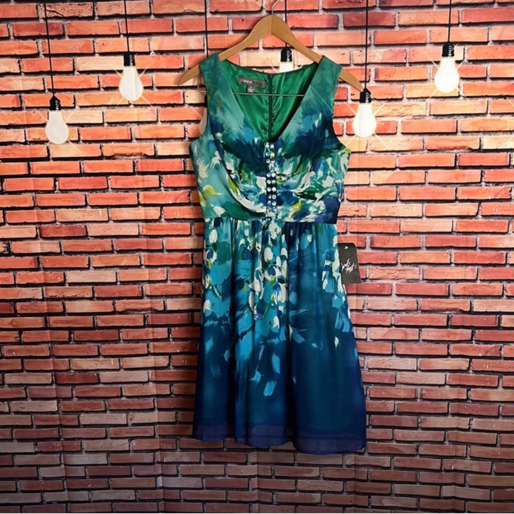 NWT Donna Ricco Chiffon and Silk Dress